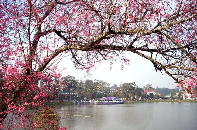 Ana Hotel Dalat Exterior foto